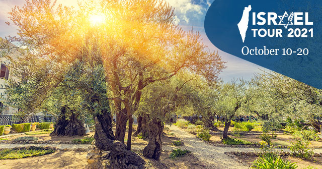 Visit the Garden of Gethsemane