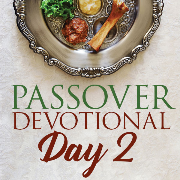 Passover Devotional 2