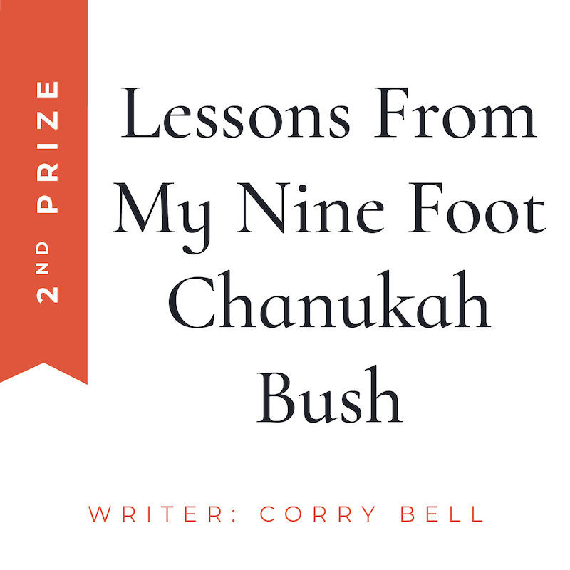 lessons from chanukah bush