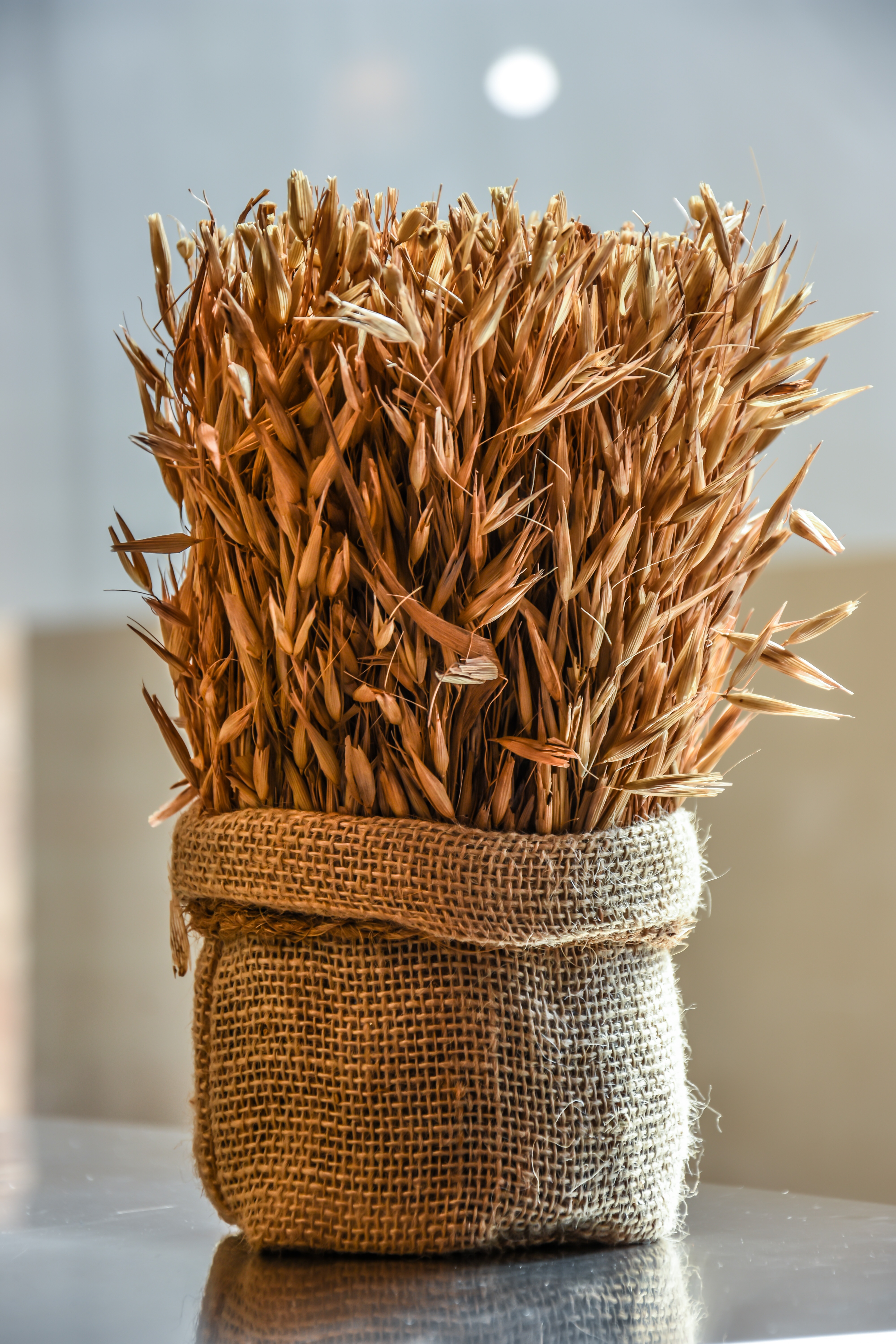 Wheat in burlap sack on table